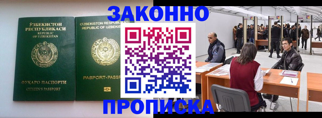 временная регистрация поиск в Ленинградской области